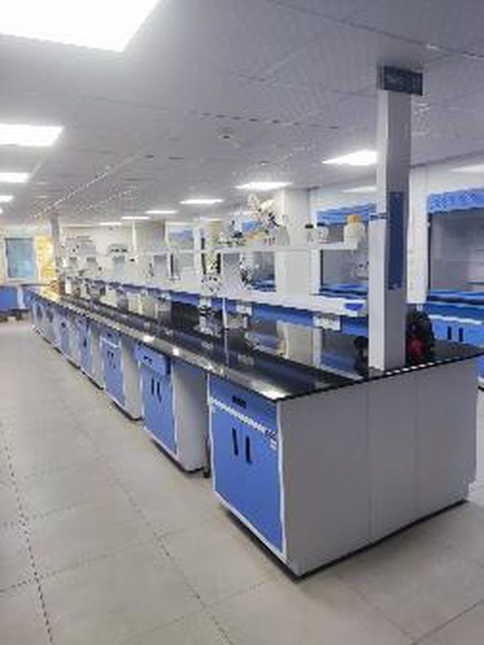 Finished laboratory with modular furniture